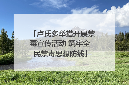 卢氏多举措开展禁毒宣传活动 筑牢全民禁毒思想防线