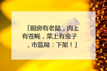 厨房有老鼠，肉上有苍蝇，菜上有虫子，市监局：下架！