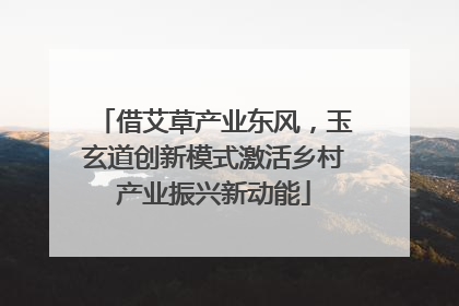 借艾草产业东风，玉玄道创新模式激活乡村产业振兴新动能