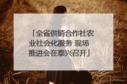 全省供销合作社农业社会化服务 现场推进会在泰兴召开