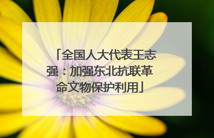全国人大代表王志强：加强东北抗联革命文物保护利用