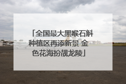 全国最大黑喉石斛种植区再添新景 金色花海扮靓龙陵