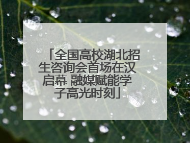 全国高校湖北招生咨询会首场在汉启幕 融媒赋能学子高光时刻