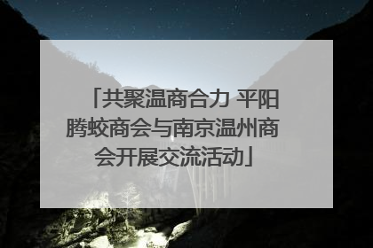 共聚温商合力 平阳腾蛟商会与南京温州商会开展交流活动