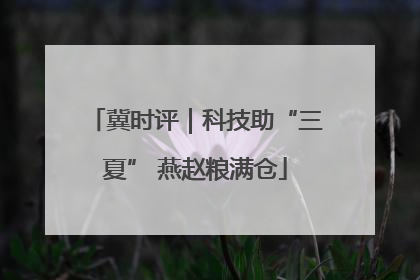 冀时评｜科技助“三夏” 燕赵粮满仓