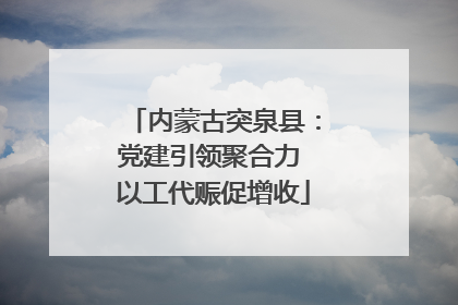 内蒙古突泉县：党建引领聚合力 以工代赈促增收