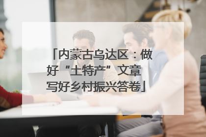 内蒙古乌达区：做好“土特产”文章 写好乡村振兴答卷