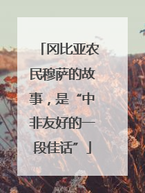 冈比亚农民穆萨的故事，是“中非友好的一段佳话”