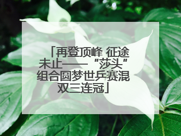 再登顶峰 征途未止——“莎头”组合圆梦世乒赛混双三连冠