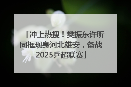 冲上热搜！樊振东许昕同框现身河北雄安，备战2025乒超联赛