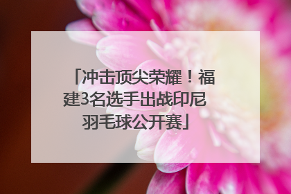 冲击顶尖荣耀！福建3名选手出战印尼羽毛球公开赛