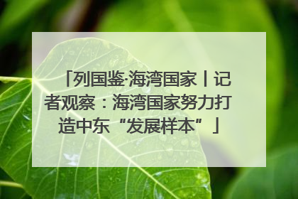 列国鉴·海湾国家丨记者观察：海湾国家努力打造中东“发展样本”
