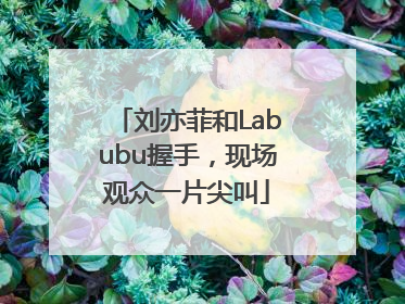 刘亦菲和Labubu握手，现场观众一片尖叫