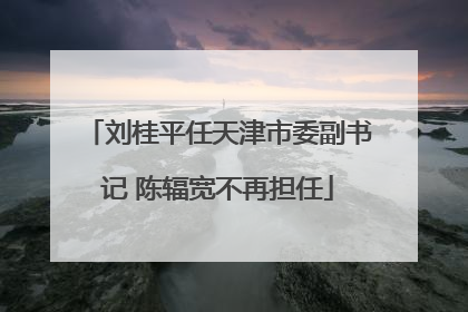 刘桂平任天津市委副书记 陈辐宽不再担任