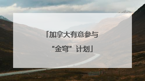 加拿大有意参与“金穹”计划