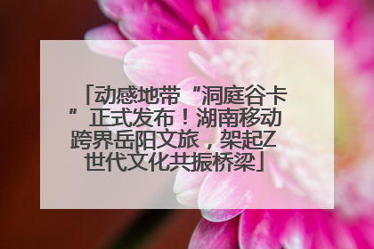 动感地带“洞庭谷卡”正式发布！湖南移动跨界岳阳文旅，架起Z世代文化共振桥梁