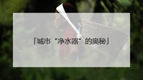 城市“净水器”的奥秘