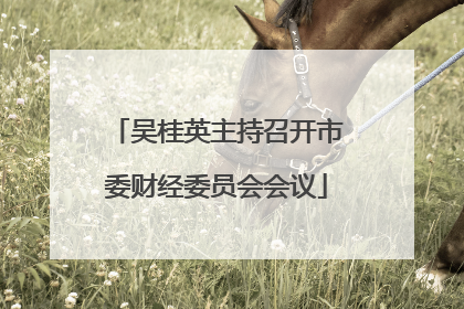 吴桂英主持召开市委财经委员会会议