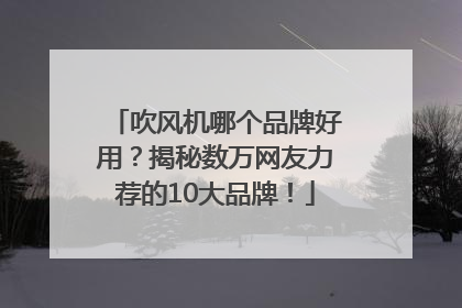 吹风机哪个品牌好用？揭秘数万网友力荐的10大品牌！