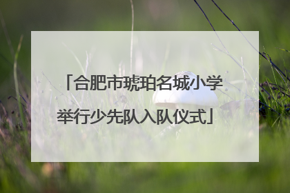 合肥市琥珀名城小学举行少先队入队仪式