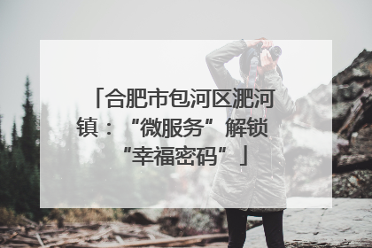 合肥市包河区淝河镇：“微服务”解锁“幸福密码”