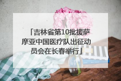吉林省第10批援萨摩亚中国医疗队出征动员会在长春举行