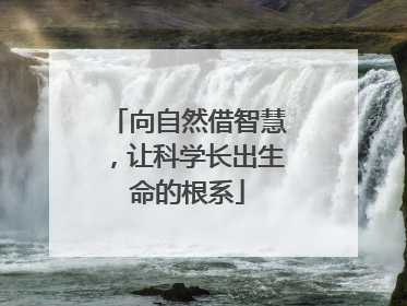 向自然借智慧，让科学长出生命的根系