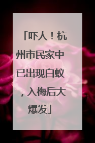 吓人！杭州市民家中已出现白蚁，入梅后大爆发