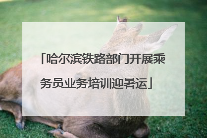哈尔滨铁路部门开展乘务员业务培训迎暑运