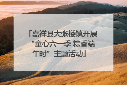 嘉祥县大张楼镇开展“童心六一季 粽香端午时”主题活动