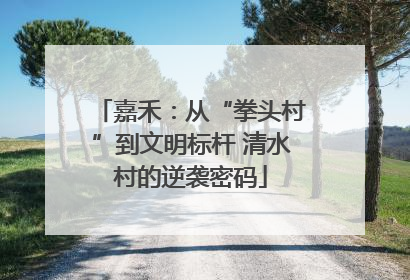 嘉禾：从“拳头村”到文明标杆 清水村的逆袭密码