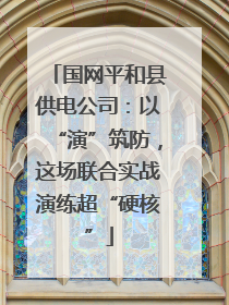 国网平和县供电公司：以“演”筑防，这场联合实战演练超“硬核”