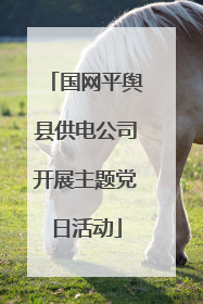 国网平舆县供电公司开展主题党日活动
