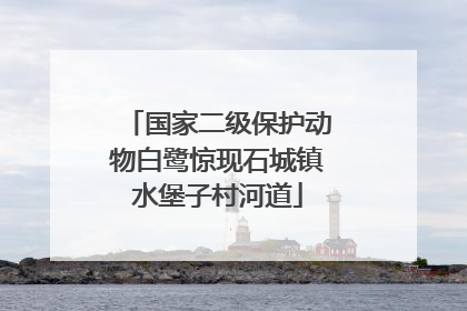 国家二级保护动物白鹭惊现石城镇水堡子村河道