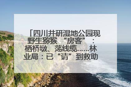 四川井研湿地公园现野生猕猴 “房客”：栖桥墩、荡线缆……林业局：已“请”到救助站，将放归自然