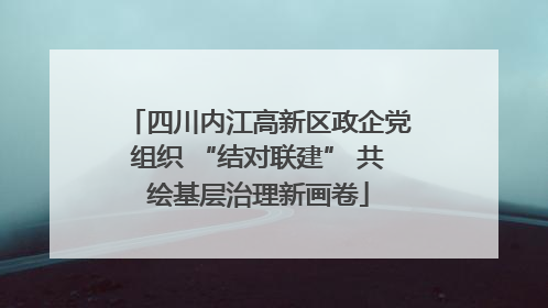 四川内江高新区政企党组织 “结对联建” 共绘基层治理新画卷