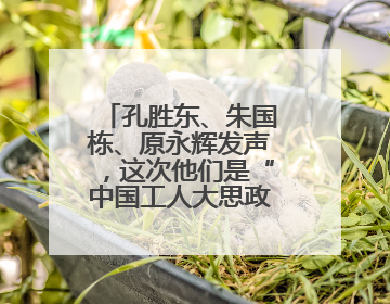 孔胜东、朱国栋、原永辉发声，这次他们是“中国工人大思政课”主讲人