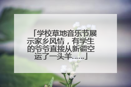 学校草地音乐节展示家乡风情，有学生的爷爷直接从新疆空运了一头羊……