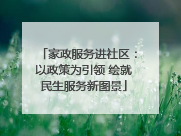 家政服务进社区：以政策为引领 绘就民生服务新图景