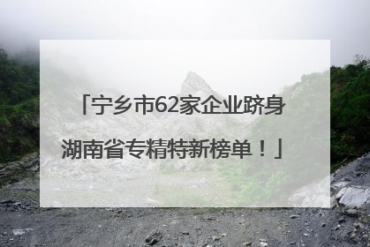宁乡市62家企业跻身湖南省专精特新榜单！