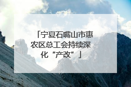 宁夏石嘴山市惠农区总工会持续深化“产改”