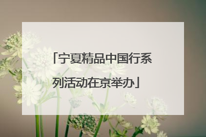 宁夏精品中国行系列活动在京举办