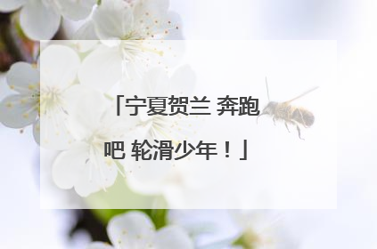 宁夏贺兰 奔跑吧 轮滑少年！