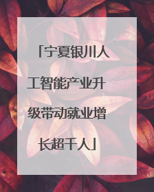 宁夏银川人工智能产业升级带动就业增长超千人