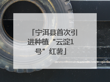 宁洱县首次引进种植“云淀1号”红薯