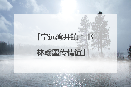 宁远湾井镇：书林翰墨传情谊
