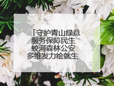 守护青山绿意 服务保障民生 蛟河森林公安多维发力绘就生态惠民新画卷