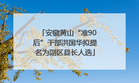 安徽黄山“准90后”干部洪国华拟提名为副区县长人选