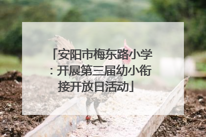 安阳市梅东路小学：开展第三届幼小衔接开放日活动