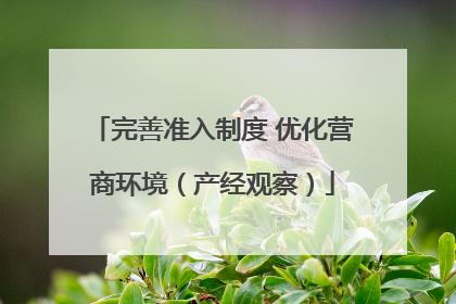 完善准入制度 优化营商环境（产经观察）